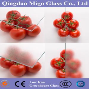 Dreifð gler fyrir gróðurhús